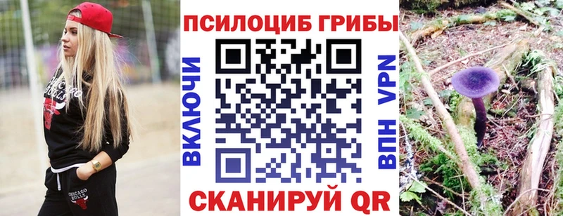 сколько стоит  Бугуруслан  mega ТОР  Галлюциногенные грибы мицелий 