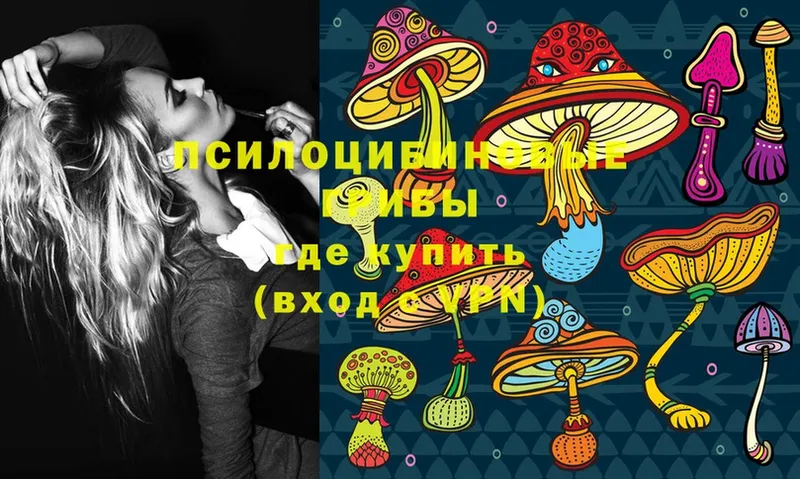 Псилоцибиновые грибы Psilocybine cubensis  Бугуруслан 