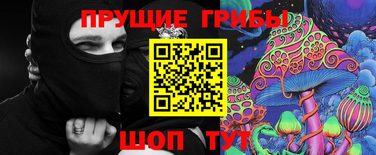 Псилоцибиновые грибы Psilocybine cubensis Бугуруслан