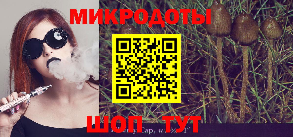 Псилоцибиновые грибы Psilocybine cubensis Бугуруслан